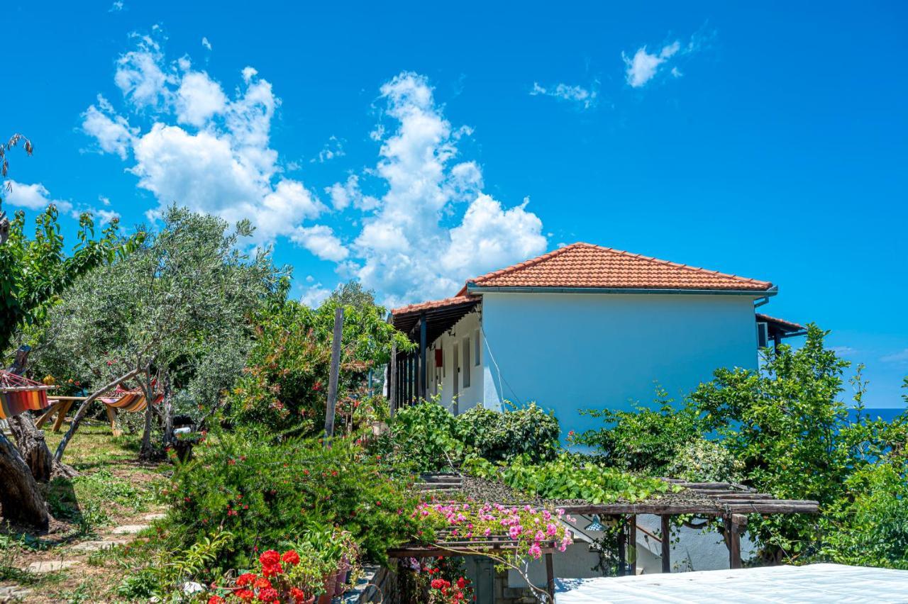 Katerina Fotopoulos Rooms & Apartments - Papanero Com Agios Ioannis  Exteriör bild