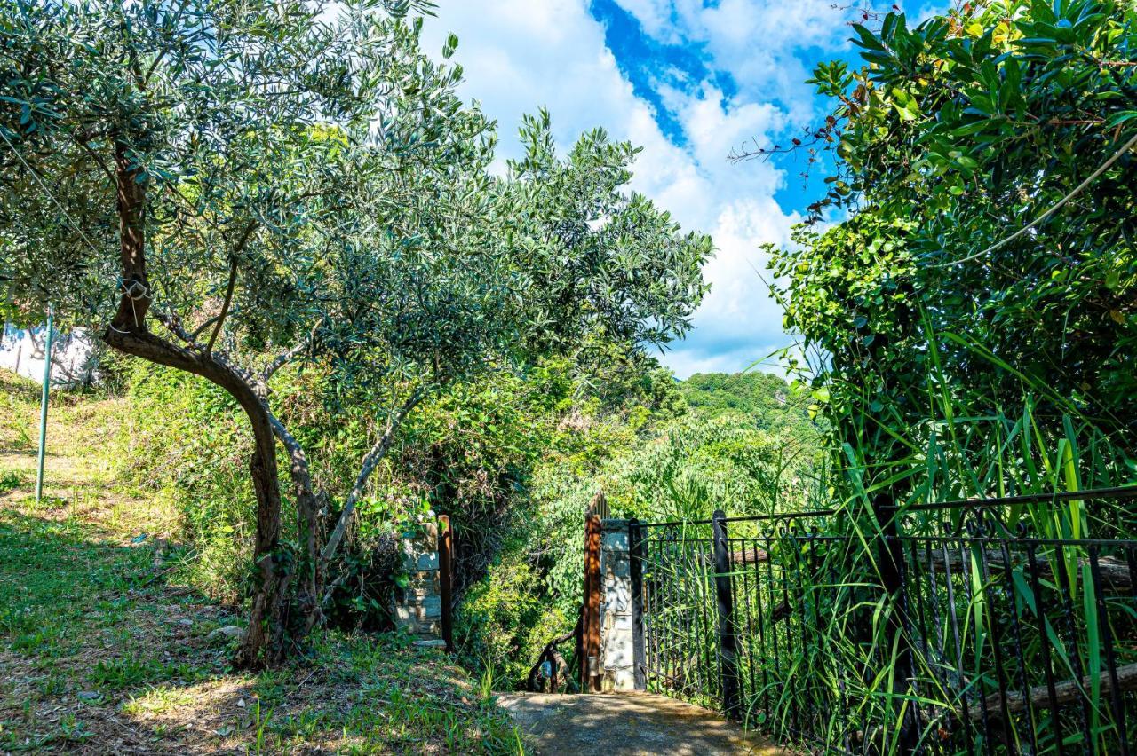 Katerina Fotopoulos Rooms & Apartments - Papanero Com Agios Ioannis  Exteriör bild