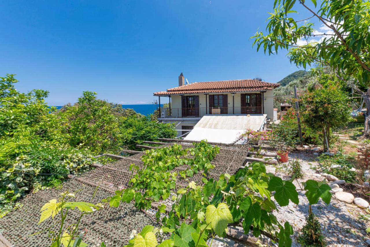 Katerina Fotopoulos Rooms & Apartments - Papanero Com Agios Ioannis  Exteriör bild