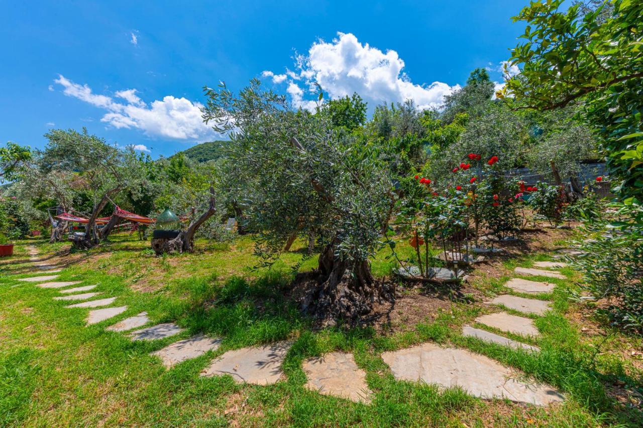 Katerina Fotopoulos Rooms & Apartments - Papanero Com Agios Ioannis  Exteriör bild