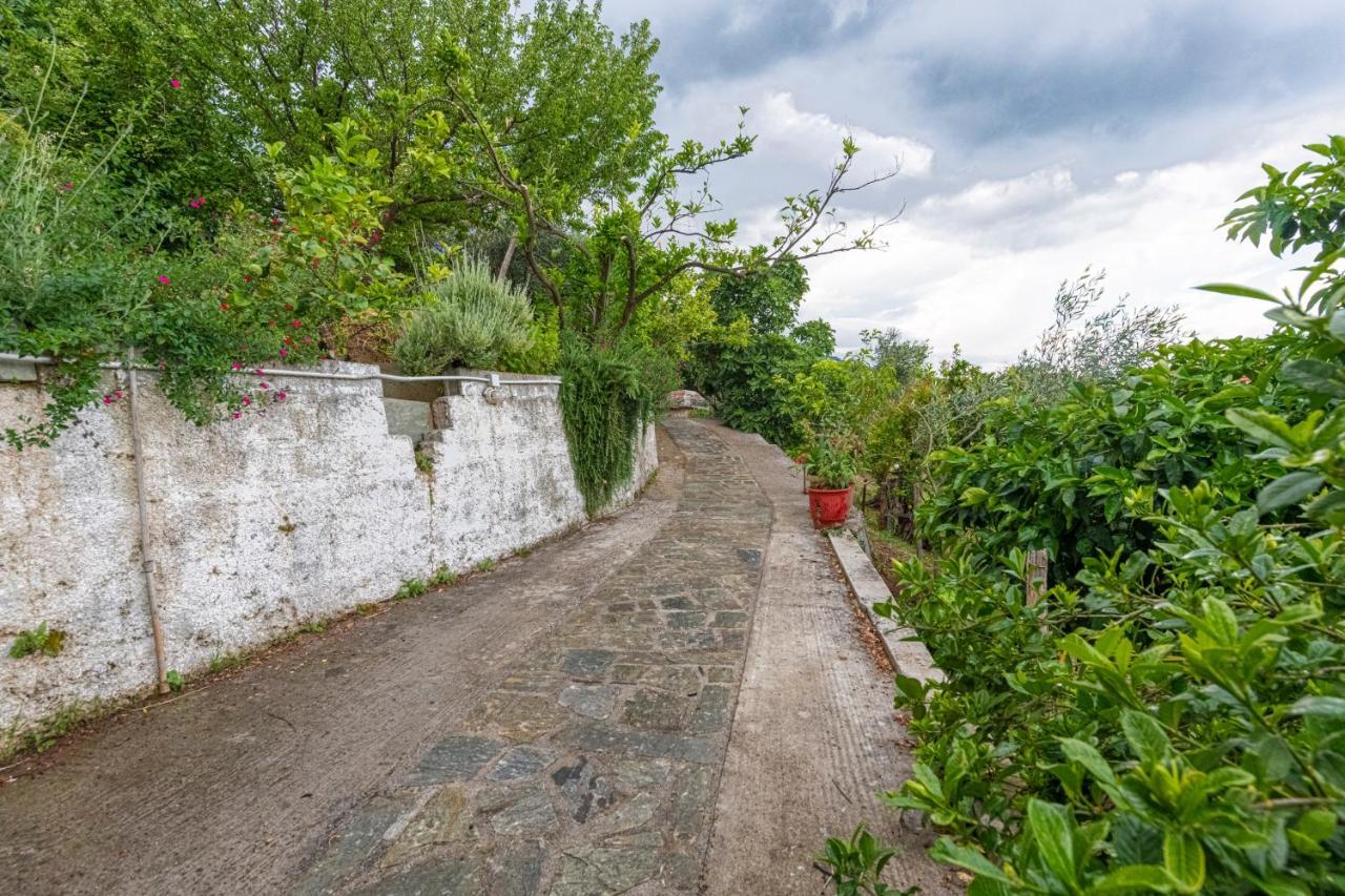 Katerina Fotopoulos Rooms & Apartments - Papanero Com Agios Ioannis  Exteriör bild
